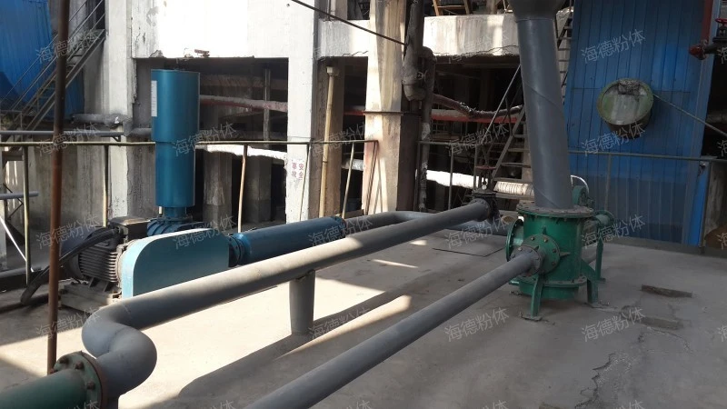 Large particle conveying material sealing pump