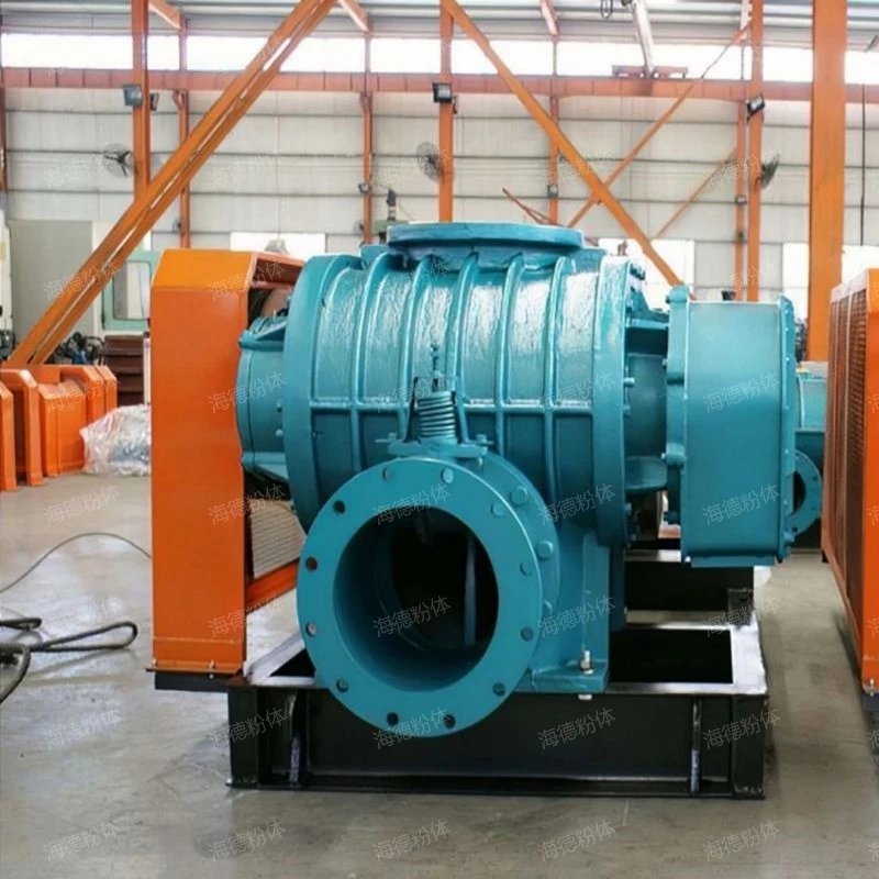 Stainless steel Roots vacuum pump equipment